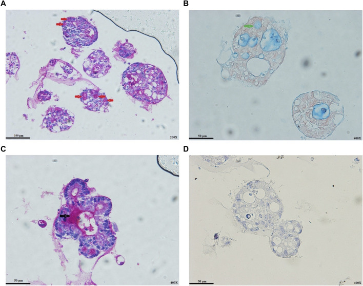 FIGURE 3