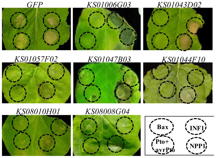 Figure 3