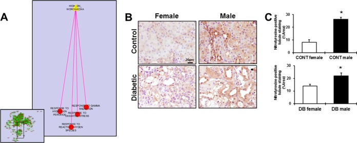 Fig. 9.