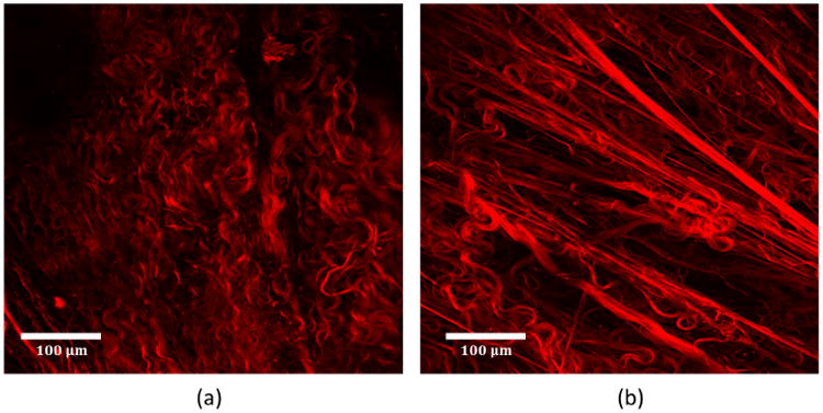 Fig. 13