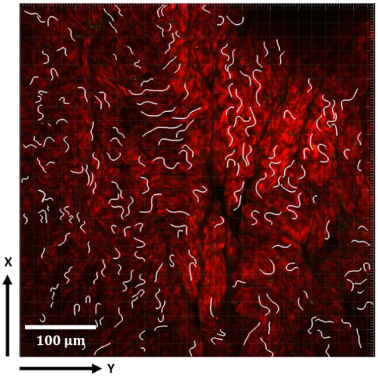 Fig. 3