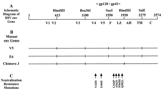 FIG. 1