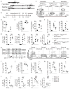Extended Data Figure 10