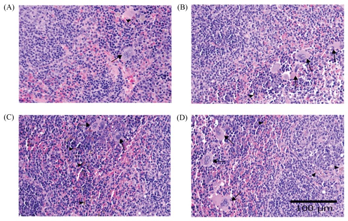 Fig. 4