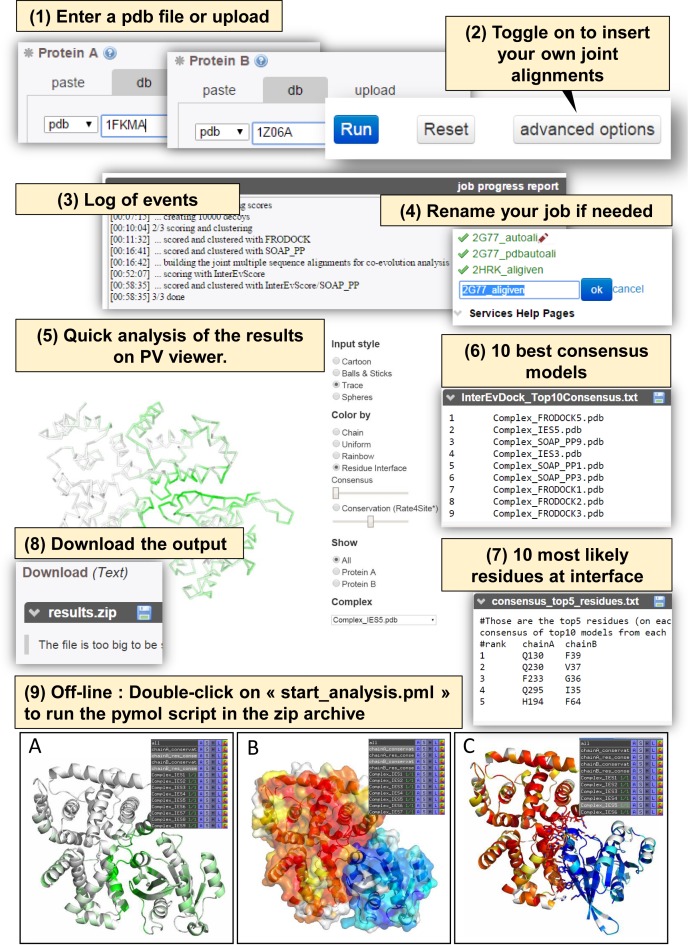 Figure 3.