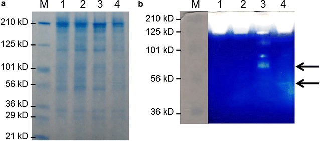 Fig. 2