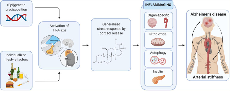 FIGURE 3