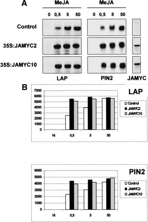 Figure 3.