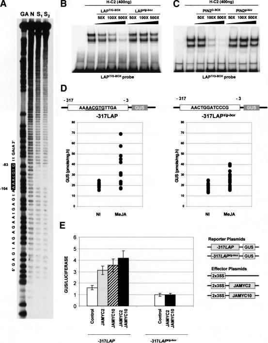 Figure 2.