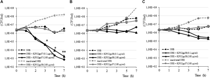 FIGURE 3