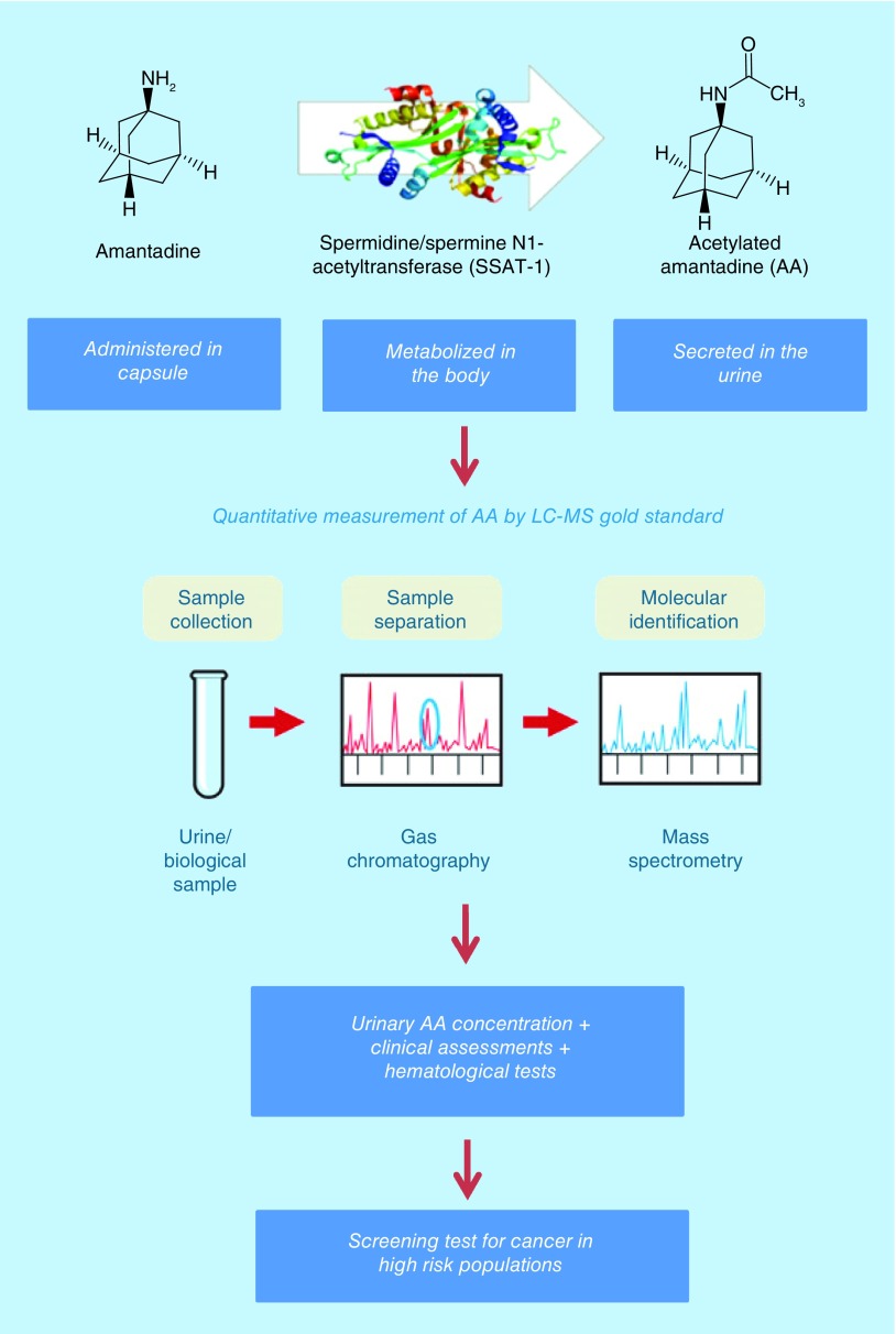 graphic file with name fsoa-05-400-GA.jpg