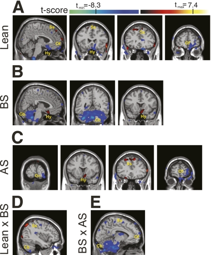 FIG. 3.