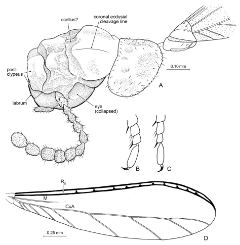 Figure 7.