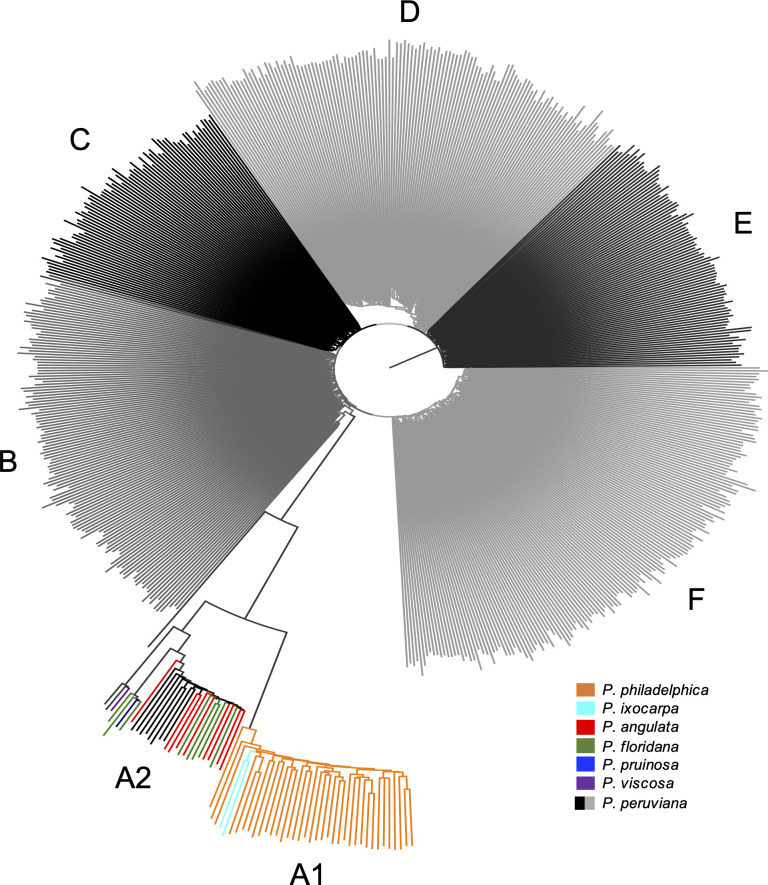 Fig 2