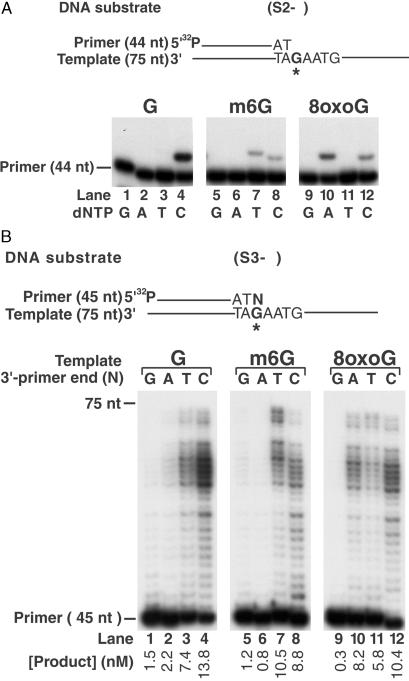 Fig 2.