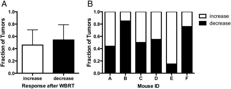 Figure 5