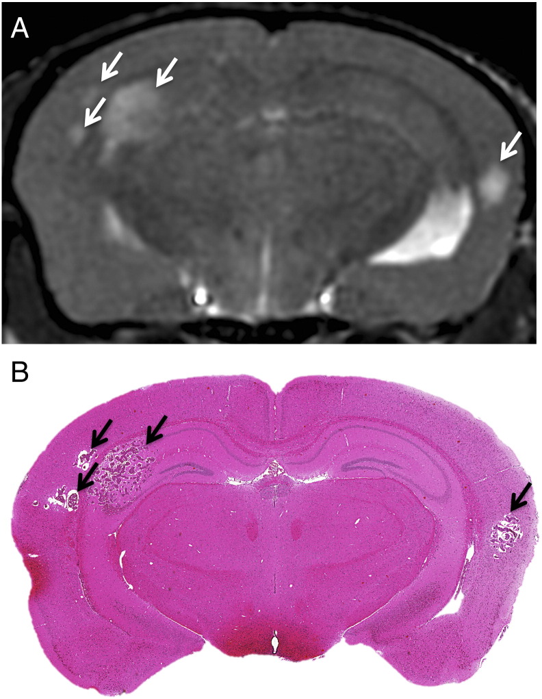 Figure 4