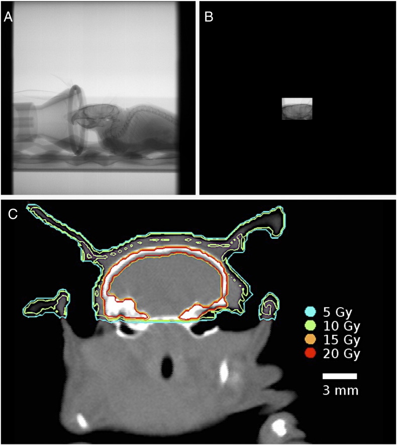 Figure 1