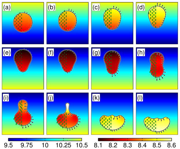 Fig. 10