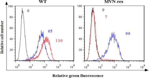 FIGURE 2.