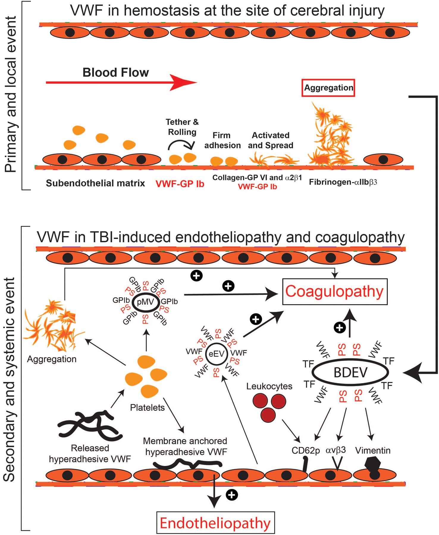 Figure 1: