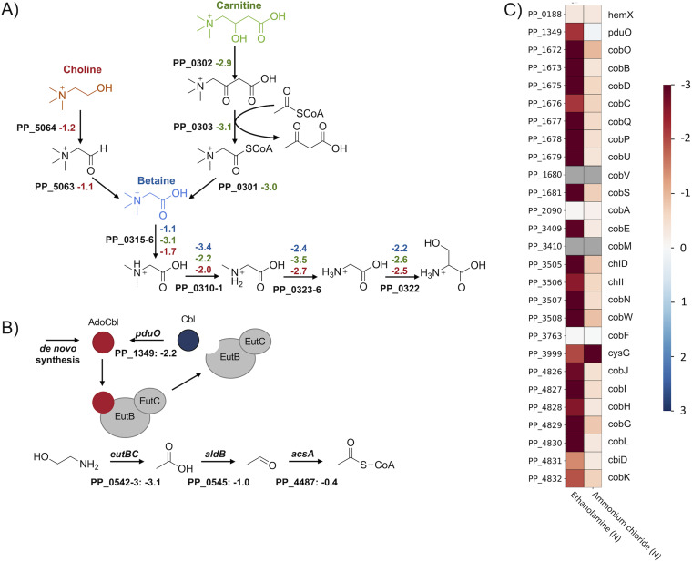 FIG 4