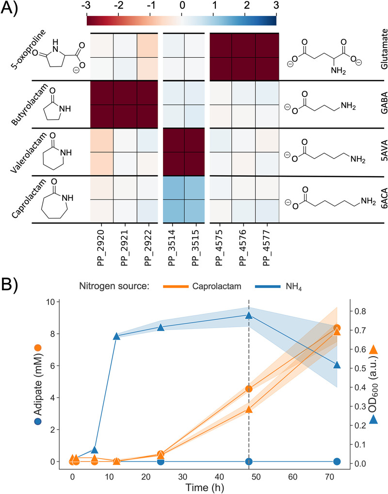 FIG 6