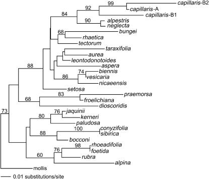 Figure 6.