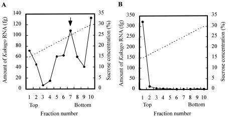 FIG. 5.