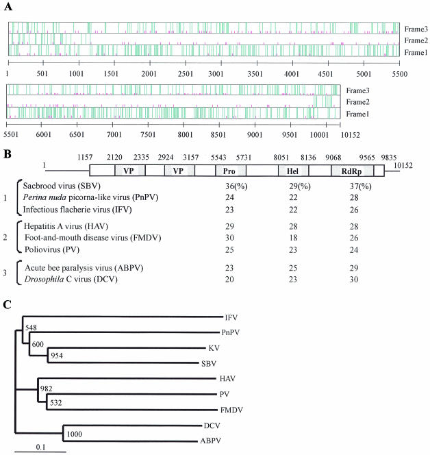 FIG. 2.