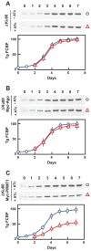 Fig. 9