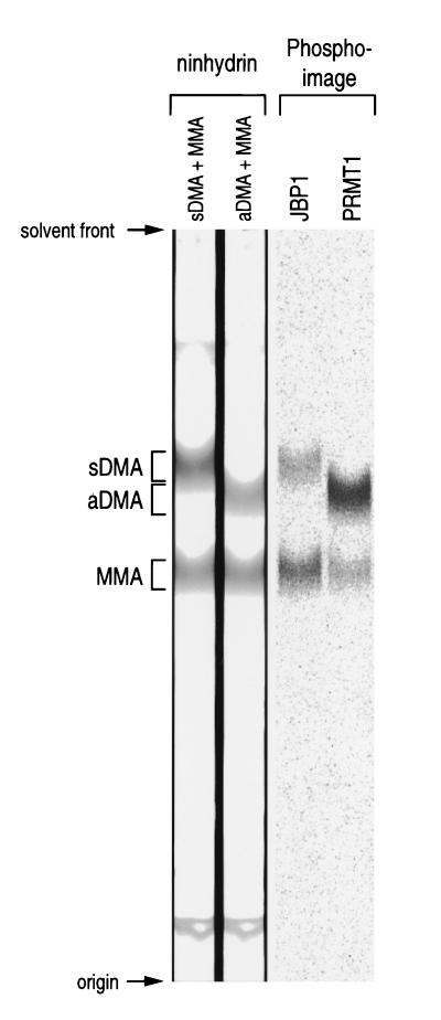 FIG. 8