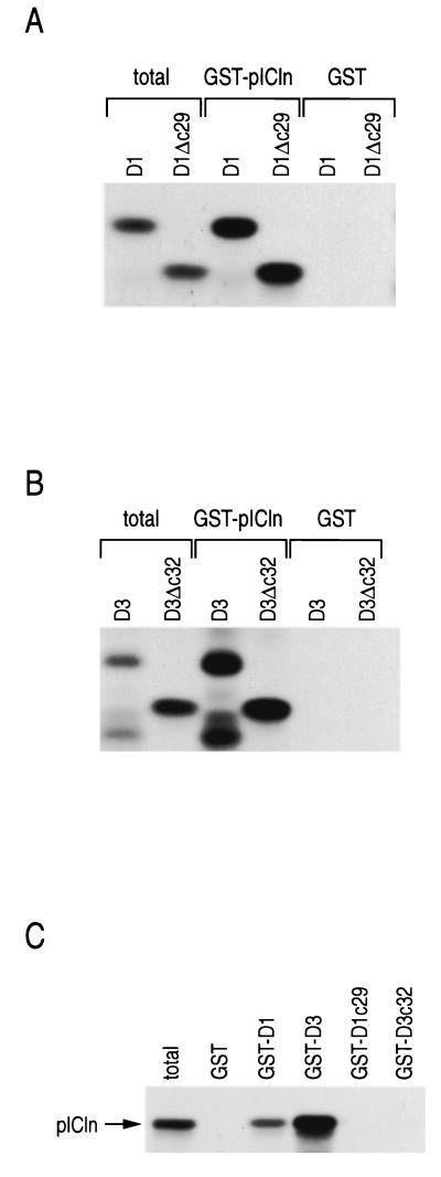 FIG. 5