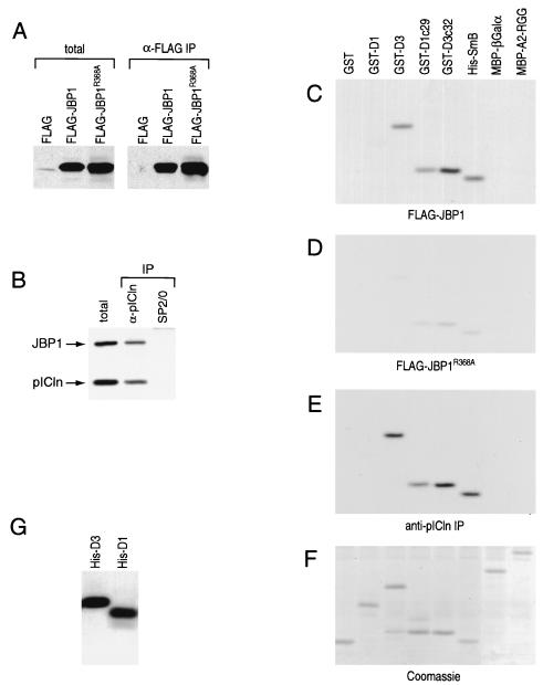 FIG. 7