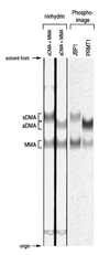 FIG. 8