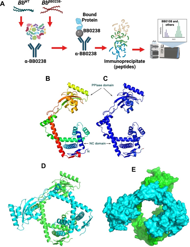 Fig 4