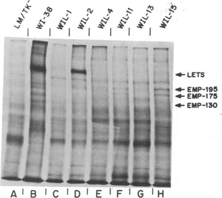 graphic file with name pnas00021-0403-a.jpg