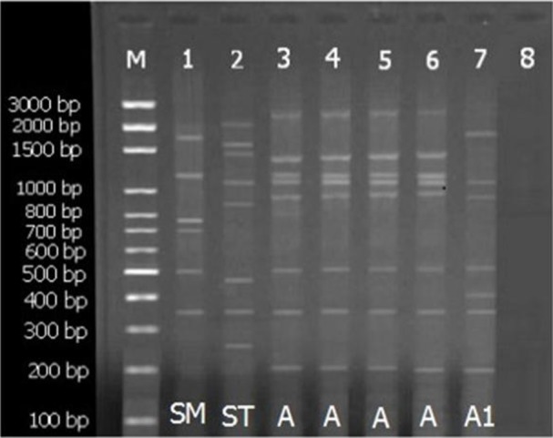 Fig. 3: