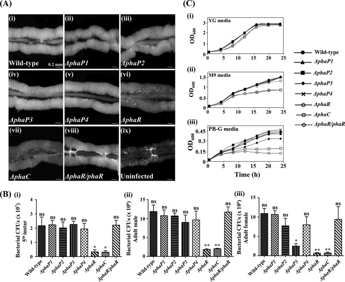 FIG 3