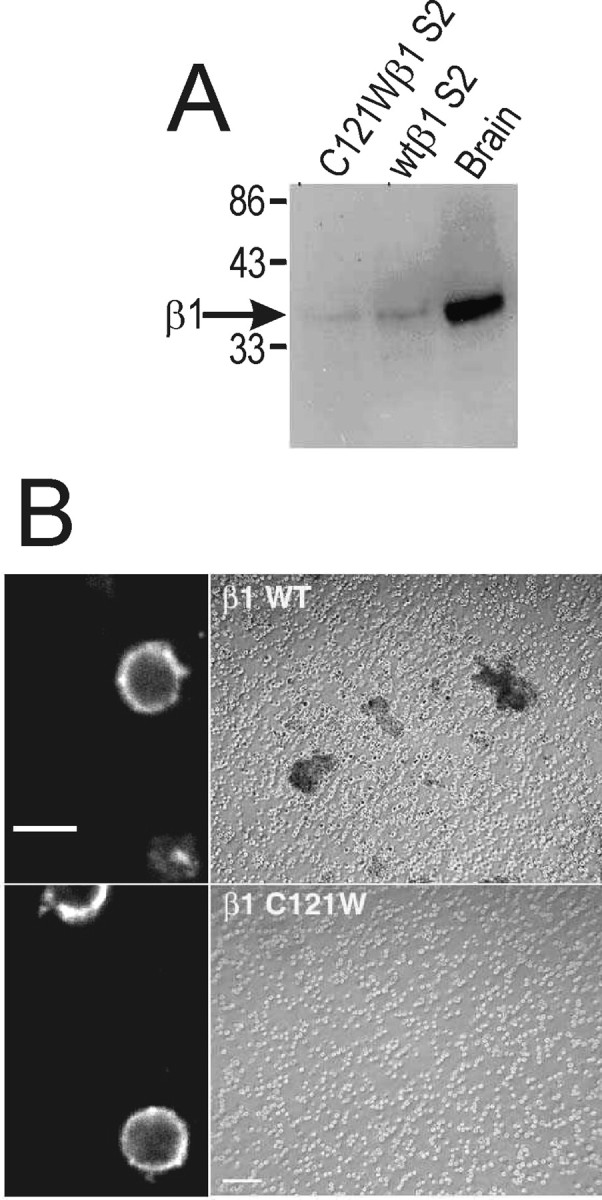 Fig. 11.