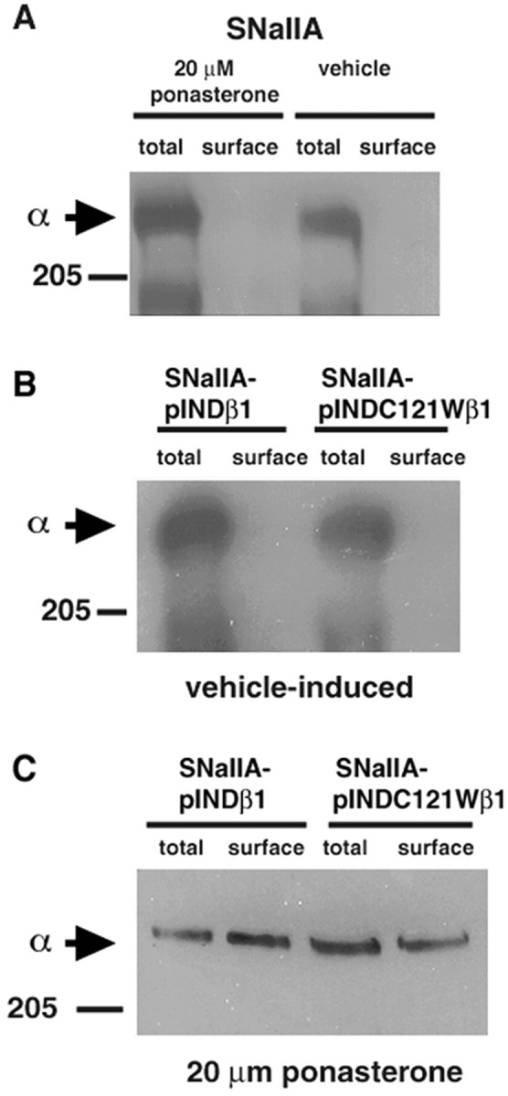 Fig. 9.