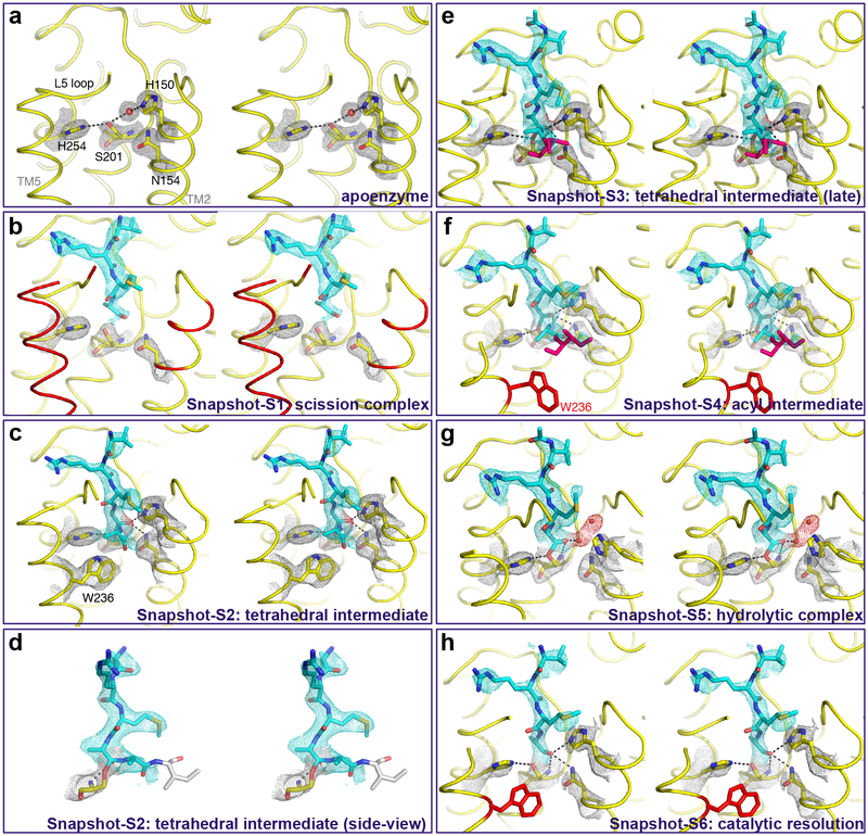 Fig. 4.