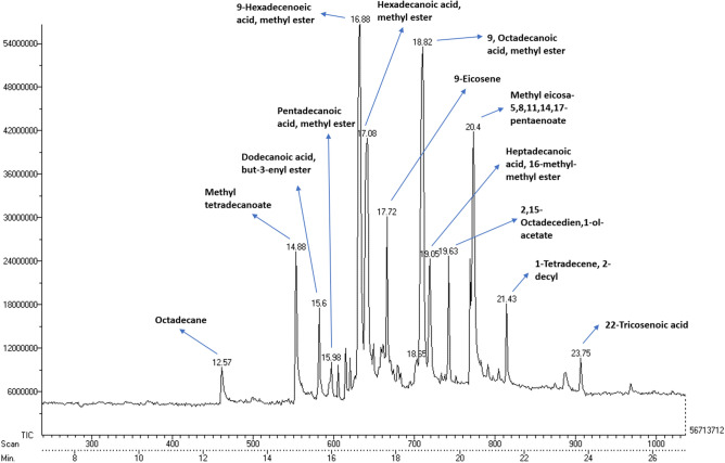 Figure 13