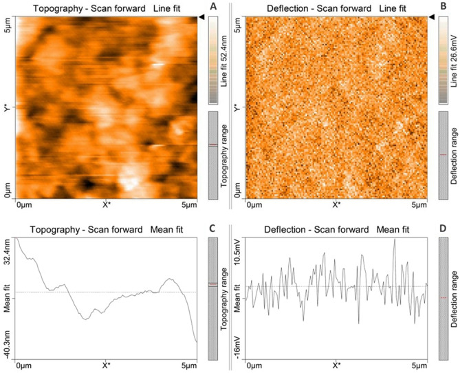 Figure 18