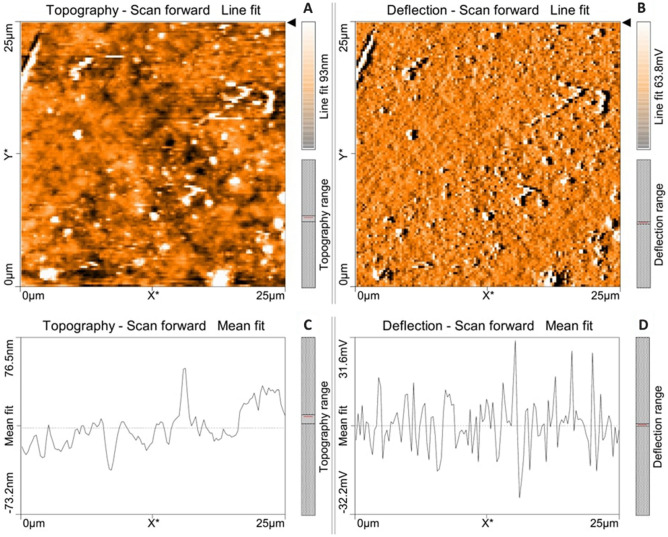 Figure 22