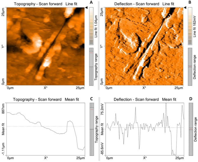 Figure 23