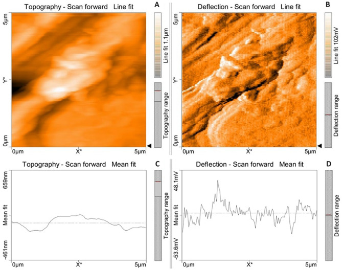 Figure 19