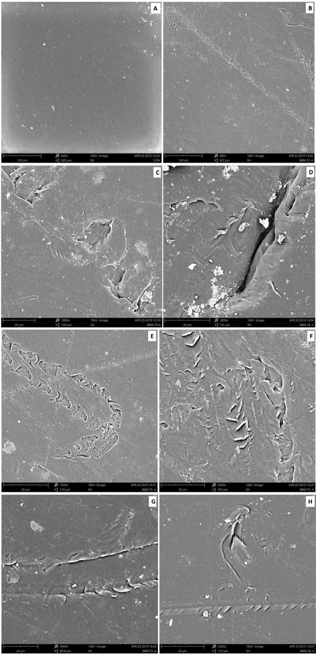 Figure 17