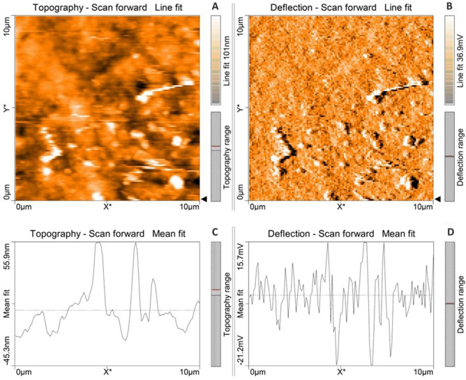 Figure 20