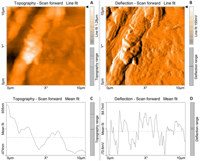 Figure 21